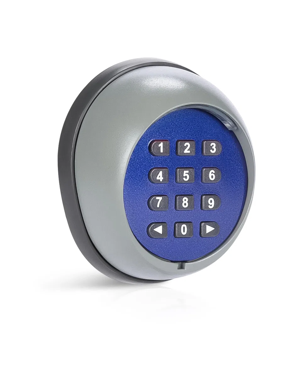 CO-Z Teclado Inalámbrico para Motores Puertas de Marca CO-Z, Sistema de Seguridad para el Hogar con Alcance de 200 m, Transmisor Inteligente sin Cables para Uso Interior y Exterior