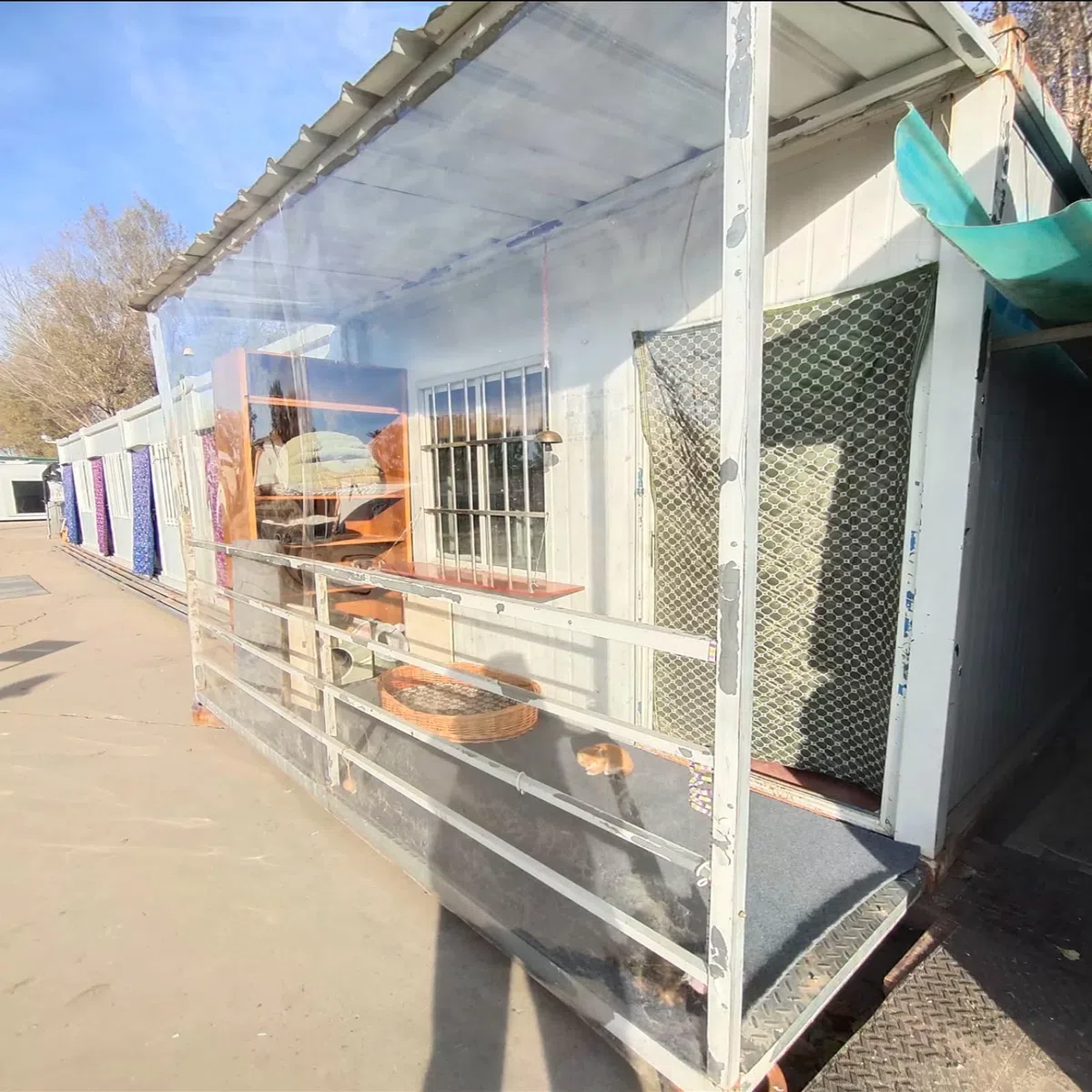 Planchas Transparentes de Policarbonato 2mm Placas para Invernaderos,Paneles para Tejado,Marquesinas para Exterior Impermeable,Toldo Cubierta en Jardín,Personalizable (1,22m x 1m)