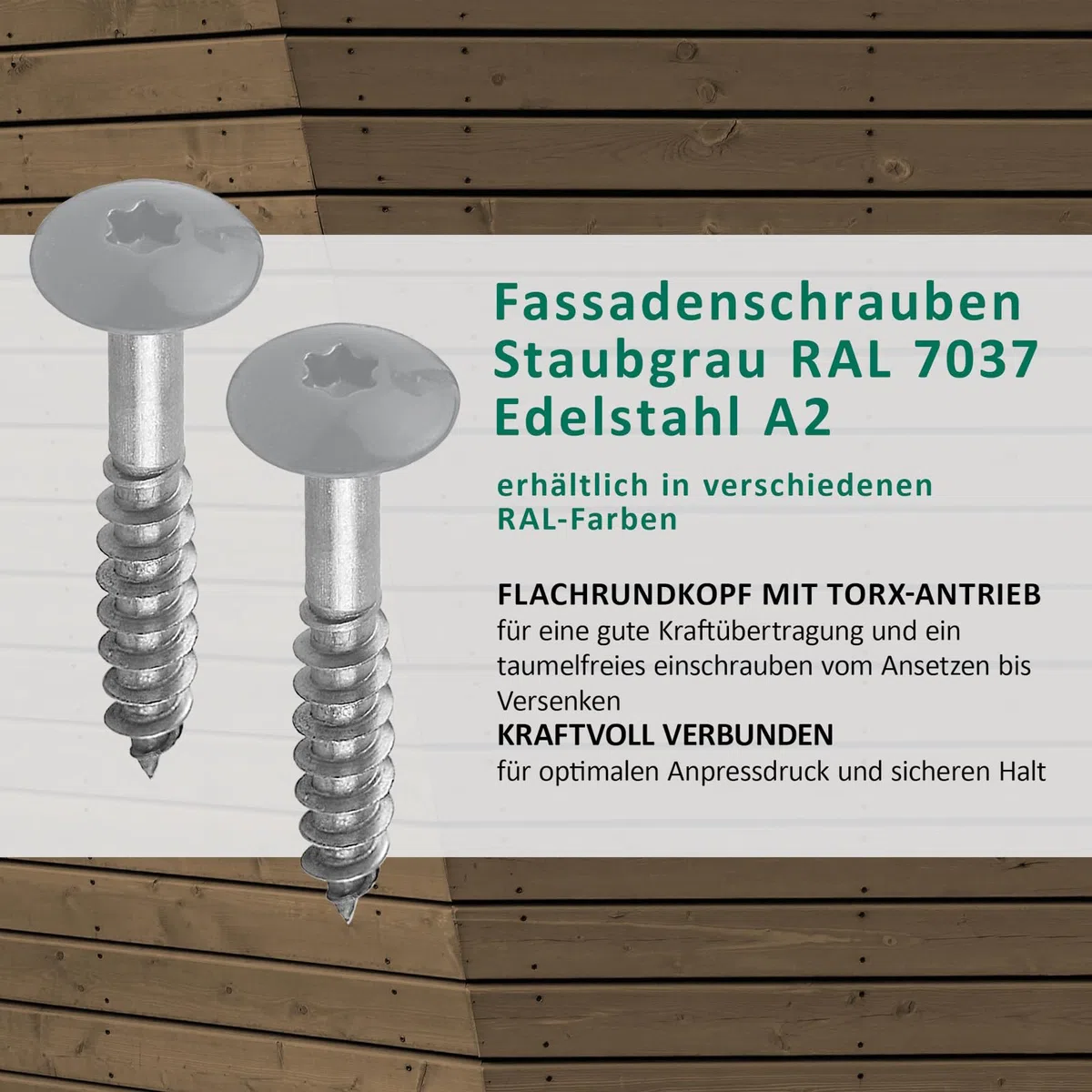 DSM Tornillos de fachada Trespo 4,8 x 38 mm, gris polvo RAL 7037, acero inoxidable A2, cabeza redonda plana con accionamiento TX, autorroscantes y resistentes a la corrosión, tornillos para madera